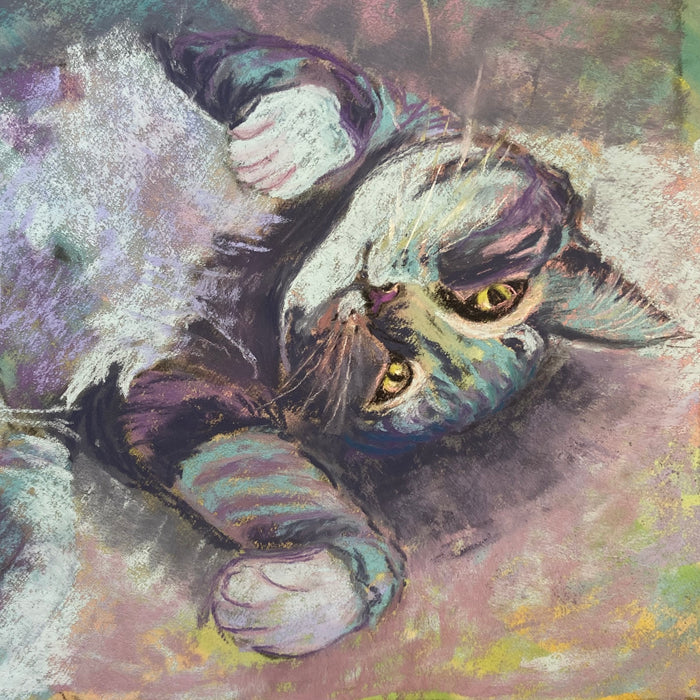 Cat -- Bowie 2 (Alice's cat)
